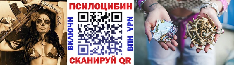 OMG маркетплейс  продажа наркотиков  Грязи  Псилоцибиновые грибы Psilocybine cubensis 